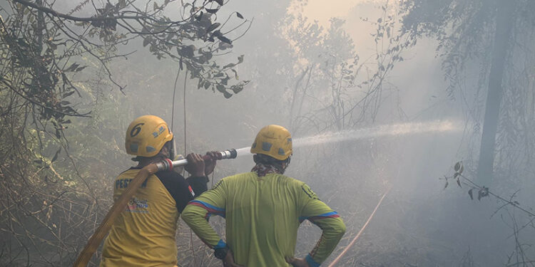SEMPROTKAN AIR - Relawan Tagana dari Dinas Sosial Kalsel saat berjuang menyemprotkan air untuk memadamkan kebakaran lahan gambut di kawasan Jalan Gubernur Syarkawi, Lingkar Utara, Kecamatan Gambut, Kabupaten Banjar, Sabtu (14/10).