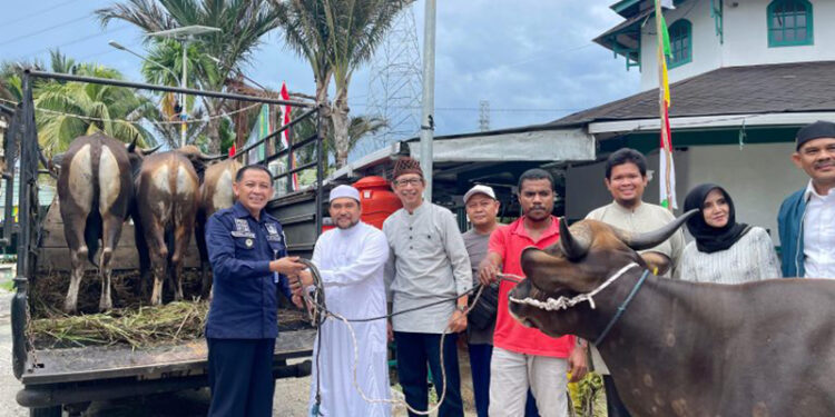 SERAHKAN BANTUAN - Guru Supian Al Banjari didampingi Widi Gunawan saat menyerahkan bantuan empat ekor sapi untuk Haul Akbar ke-77 Habib Hamid bin Abbas Bahasyim atau Habib Basirih kepada Husin Luthfie, Buyut Habib Basirih, Selasa (28/11).