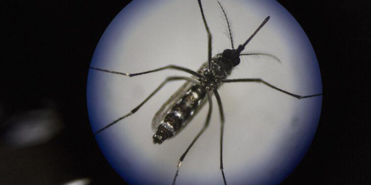 D:\2023\November 2023\23 November 2023\11\Halaman 1-11 Kamis\mengenal.jpg