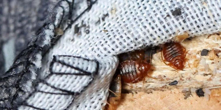 D:\2023\November 2023\24 November 2023\11\Halaman 1-11 Jumat\dokter.jpg