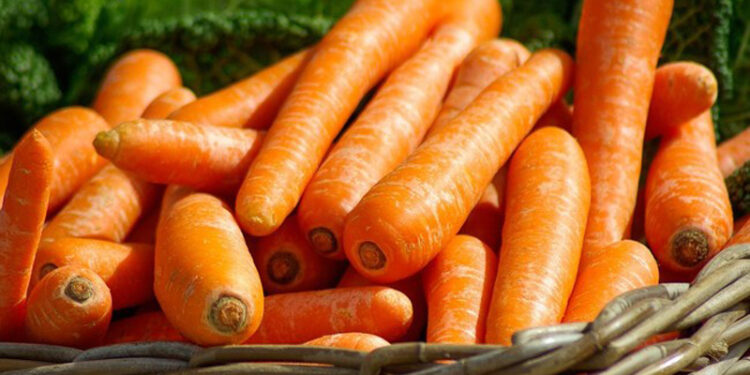 D:\2023\Desember 2023\2112\11\Halaman 1-11 Kamis\7 buah.jpg