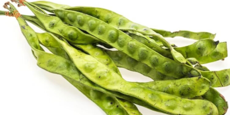 D:\2023\Desember 2023\2812\11\Halaman 1-11 Kamis\5 manfaat.jpg