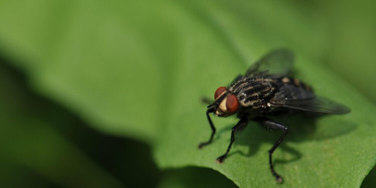 D:\2023\Desember 2023\2912\11\Halaman 1-11 Jumat\5 cara.jpg