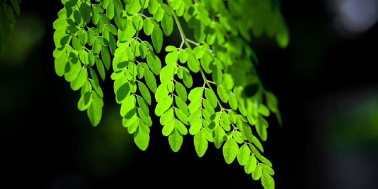 D:\2024\Januari 2024\10 Januari 2024\11\Halaman 1-11 Rabu\7 manfaat.jpg