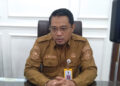 Kepala Dinas PMPTSP Kalimantan Selatan Endri.