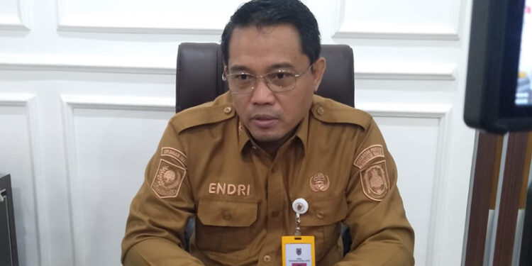 Kepala Dinas PMPTSP Kalimantan Selatan Endri.