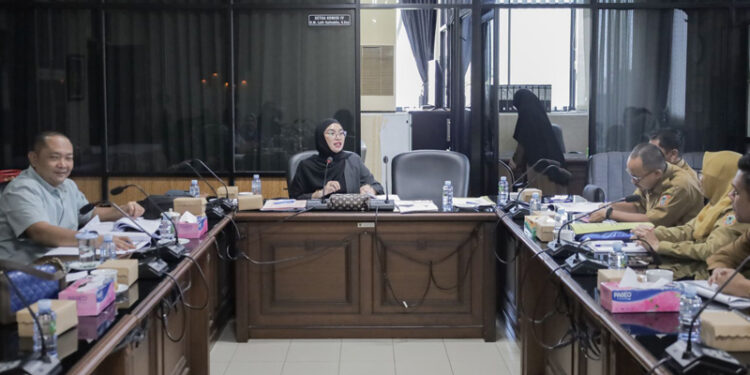 Wakil Ketua Pansus IV DPRD Provinsi Kalsel, Gina Mariati didampingi anggota pansus lainnya saat memimpin rapat dengan Dinas Pemberdayaan Perempuan dan Perlindungan Anak dan Keluarga Berencana Provinsi Kalsel.