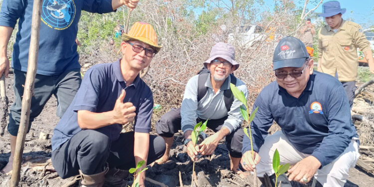 TANAM MANGROVE - Ketua PWM Kalsel Prof Ridhahani bersama Ketua Majelis Lingkungan Hidup PWM Kalsel Fathurrahman saat menanam bibit pohon Mangrove di Desa Tungkaran Naik, Kecamatan Jorong, Kabupaten Tanah Laut akhir pekan lalu.