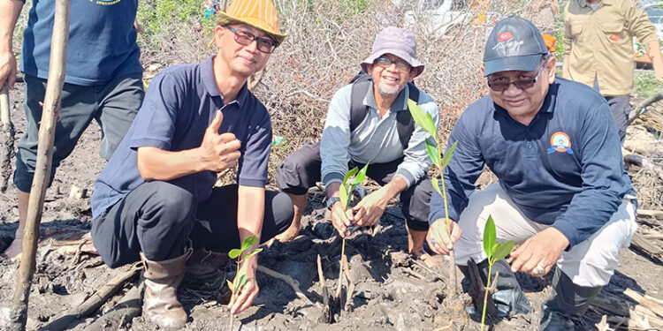 TANAM MANGROVE - Ketua PWM Kalsel Prof Ridhahani bersama Ketua Majelis Lingkungan Hidup PWM Kalsel Fathurrahman saat menanam bibit pohon Mangrove di Desa Tungkaran Naik, Kecamatan Jorong, Kabupaten Tanah Laut akhir pekan lalu.