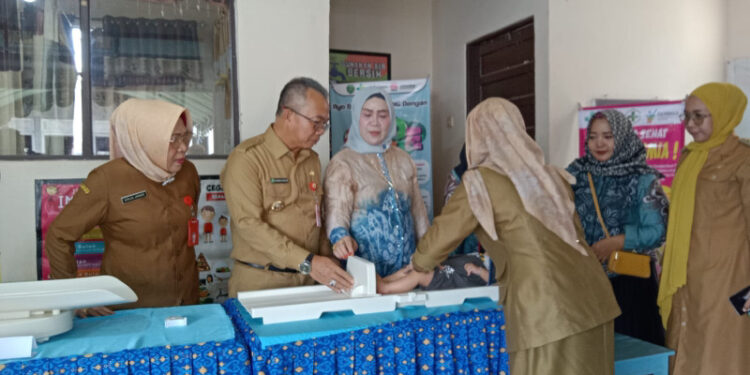 Pj Bupati Tapin Hadiri Gebyar Gerakan Intervensi Pencegahan Stunting