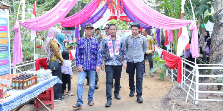 Penilaian Aku Hatinya PKK Tingkat Kabupaten Tapin