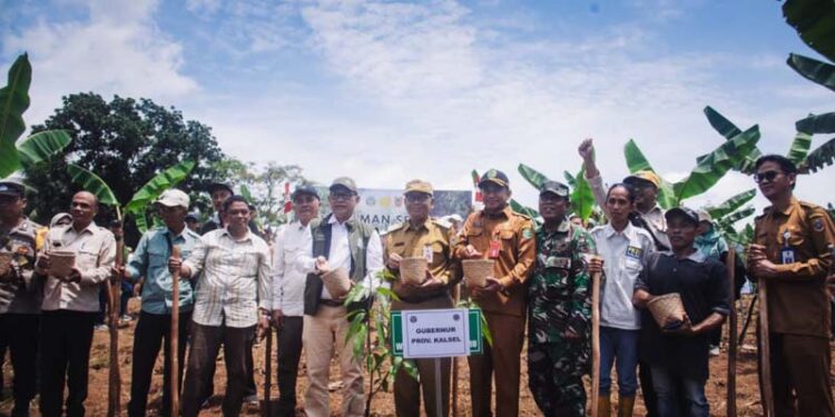 Gubernur Turut Tanam Serentak Agroforestry Tanaman Pangan