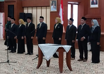 D:\2023\Oktober 2023\12 Oktober 2023\2\222\New Folder\paw.jpg