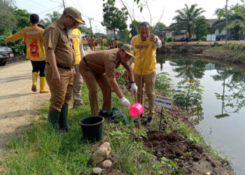 TANAM POHON-PJ Bupati Tapin M Syarifudin MPd yang diwakili Asisten Pemerintahan dan Kesra H Zainal Abidin SSos MM saat melaksanakan penanaman pohon dalam rangka memperingati hari menanam pohon Indonesia bersama lintas sektor terkait dilingkungan Pemkab Tapin.