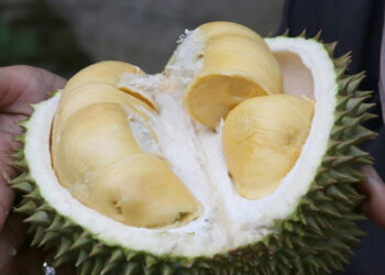 D:\2024\Januari 2024\29 januari 2024\11\Halaman 1-11 Senin\8 cara.jpg