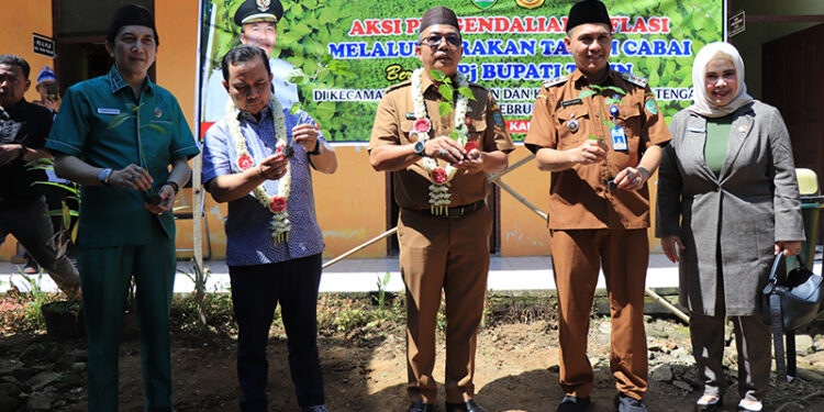 PJ Bupati Tapin M Syarifuddin MPd bersama Ketua DPRD Tapin H Yamani SAK MM, Anggota DPRD Tapin H Ikhwanudin dan Hj Herny Mustika, serta Camat Tapin Tengah Hamzah Asegaf saat penanaman bibit cabai untuk pengendalian inflasi, Senin (19/2).