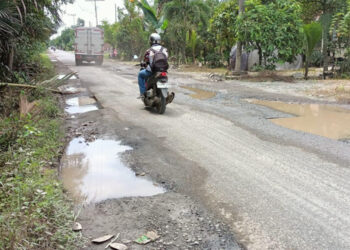 RUSAK - Kondisi ruas jalan Desa Pabaungan Hulu dan Pabaungan Hilir, Kecamatan Candi Laras Selatan, kabupaten Tapin yang rusak berlubang hingga sering menyebabkan kecelakaan bagi pengguna jalan.
