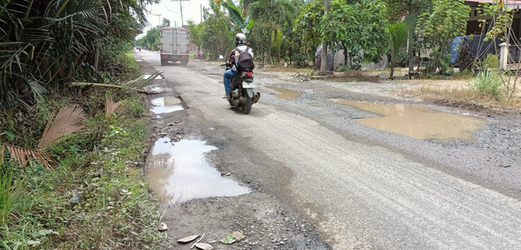 RUSAK - Kondisi ruas jalan Desa Pabaungan Hulu dan Pabaungan Hilir, Kecamatan Candi Laras Selatan, kabupaten Tapin yang rusak berlubang hingga sering menyebabkan kecelakaan bagi pengguna jalan.