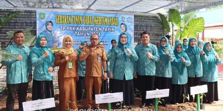 PJ Ketua TP PKK Masrupah saat melaksanakan gertam cabai di Taman Toga Kecamatan Tapin Utara.