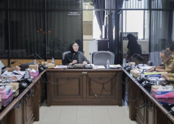 Wakil Ketua Pansus IV DPRD Provinsi Kalsel, Gina Mariati didampingi anggota pansus lainnya saat memimpin rapat dengan Dinas Pemberdayaan Perempuan dan Perlindungan Anak dan Keluarga Berencana Provinsi Kalsel.