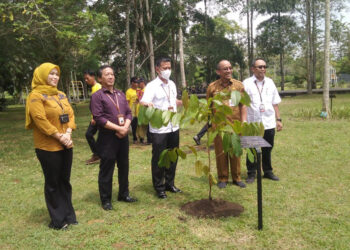 FOTO BERSAMA - Wakil Kepala BRIN RI Prof Dr Ir Amarulla Octavian MSc DESD bersama Staf Ahli Gubernur Bidang Pemerintahan, Hukum dan Politik, Adi Santoso berfoto bersama usai penanaman kayu Ulin di kawasan Kebun Raya Banua, Senin (29/4).