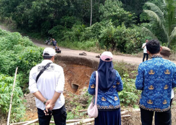KEPALA Bidang Bina Marga Dinas PUPR Tapin Noor Ciptaningsih ST saat melakukan pengecekan kondisi jalan longsor di Desa Batu Ampar, Kecamatan Piani, Rabu (17/4).