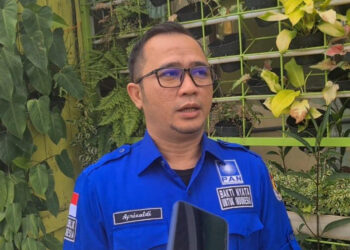 Wakil Ketua Dewan Pimpinan Wilayah (DPW) Partai Amanat Nasional (PAN) Kalimantan Selatan Afrizaldi