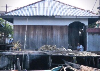 Kekayaan dan Pesona Tersembunyi di Tengah Rawa Kalsel