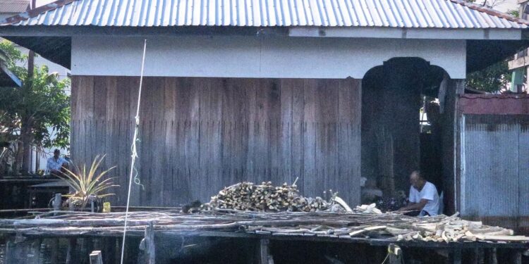 Kekayaan dan Pesona Tersembunyi di Tengah Rawa Kalsel