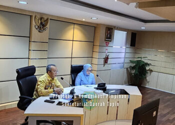 PJ Bupati Tapin M Syarifuddin saat audiensi pengajuan DAK ke Kemenkes RI