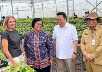 MENTERI LHK Siti Nurbaya didampingi Duta Besar Norwegia untuk Indonesia dan Timor Leste Mrs Rut Kruger Giverin, Presiden Direktur PT Adaro Energy Indonesia Tbk Garibaldi Thohir dan Sekdaprov Kalimantan Selatan Roy Rizali Anwar meninjau Persemaian Liang Anggang di Banjarbaru, Senin (14/10).