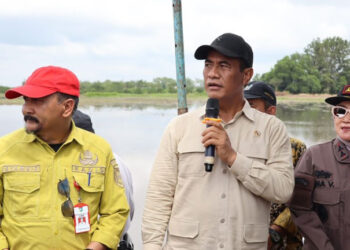 Menteri Pertanian (Mentan) RI, Andi Amran Sulaiman didampingi Kepala Dinas Pertanian dan Ketahanan Pangan Provinsi Kalsel, H Syamsir Rahman ketika melakukan pengecekan cetak sawah baru di Kabupaten Barito Kuala (Batola)
