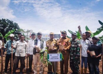 Gubernur Turut Tanam Serentak Agroforestry Tanaman Pangan