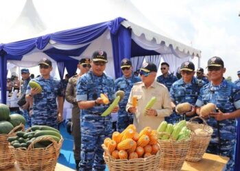 Kepala Staf Angkatan Udara (KSAU), Marsekal TNI Tonny Harjono bersama Gubernur Kalimantan Selatan, H Muhidin melakukan Panen Raya Jagung di kawasan AWR DWI Harmono Maluka Baulin, Kabupaten Tanah Laut (Tala)