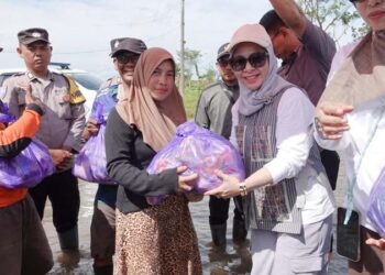 Isteri Gubernur Kalimantan Seatan, Hj Fathul Jannah saat menyerahkan bantuan kepada korban terdampak bencana alam banjir di Desa Sampurna, Kecamatan Jejangkit, Kabupaten Barito Kuala (Batola)