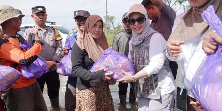 Isteri Gubernur Kalimantan Seatan, Hj Fathul Jannah saat menyerahkan bantuan kepada korban terdampak bencana alam banjir di Desa Sampurna, Kecamatan Jejangkit, Kabupaten Barito Kuala (Batola)