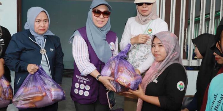 Ketua Tim Penggerak PKK Provinsi Kalimantan Selatan, Hj Fathul Jannah Muhidin saat menyerahkan bantuan sembako pada warga terdampak banjir di Kecamatan Jejangkit, Kabupaten Barito Kuala (Batola)