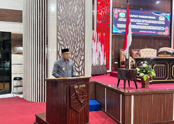 WABUP Bupati Kotabaru Syairi Mukhlis saat menyampaikan laporan.