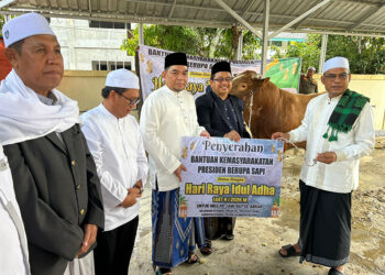WABUP Kotabaru Syairi Mukhlis saat menyerahkan bantuan sapi kurban di Masjid Jami Baitul Abrar.