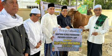WABUP Kotabaru Syairi Mukhlis saat menyerahkan bantuan sapi kurban di Masjid Jami Baitul Abrar.