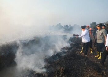 GUBERNUR Kalimantan Selatan H Muhidin menyemprotkan air pada api yang masih menyala di lokasi kebakaran hutan dan lahan (Karhutla) kawasan Pengayuan, Liang Anggang, Kota Banjarmasin.