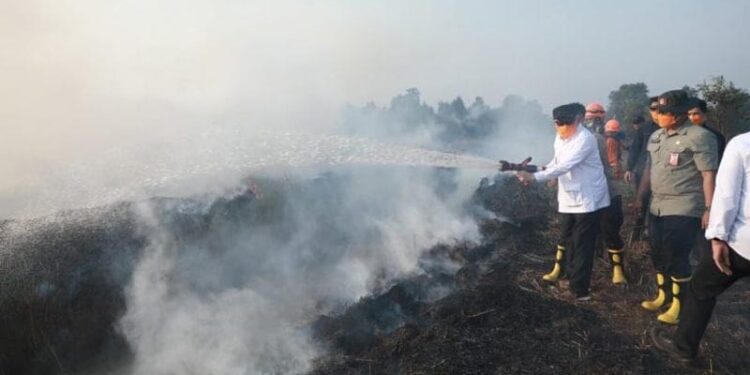 GUBERNUR Kalimantan Selatan H Muhidin menyemprotkan air pada api yang masih menyala di lokasi kebakaran hutan dan lahan (Karhutla) kawasan Pengayuan, Liang Anggang, Kota Banjarmasin.