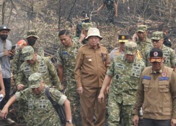 Gubernur Kalimantan Selatan, H Muhidin saat mendampingi Kepala Staf TNI Angkatan Darat (KSAD) Jenderal TNI Tandyo Budi Revita dan Kepala Badan Nasional Penanggulangan Bencana (BNPB) Letjen TNI Kristomei Sianturi meninjau penanganan kebakaran hutan dan lahan (karhutla) di Kalsel